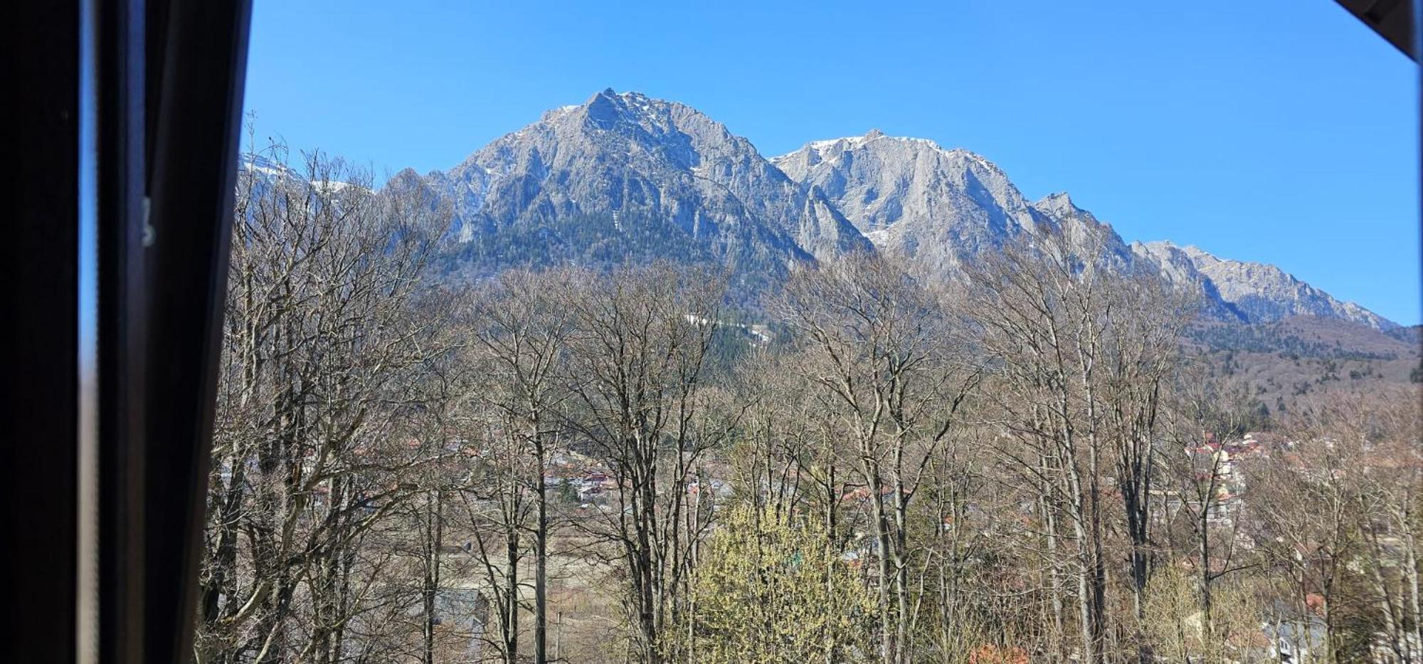 Pensiunea Clasic Buşteni Exteriör bild